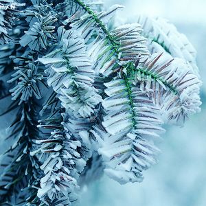 主人打我屁股就是要羞耻的视频
